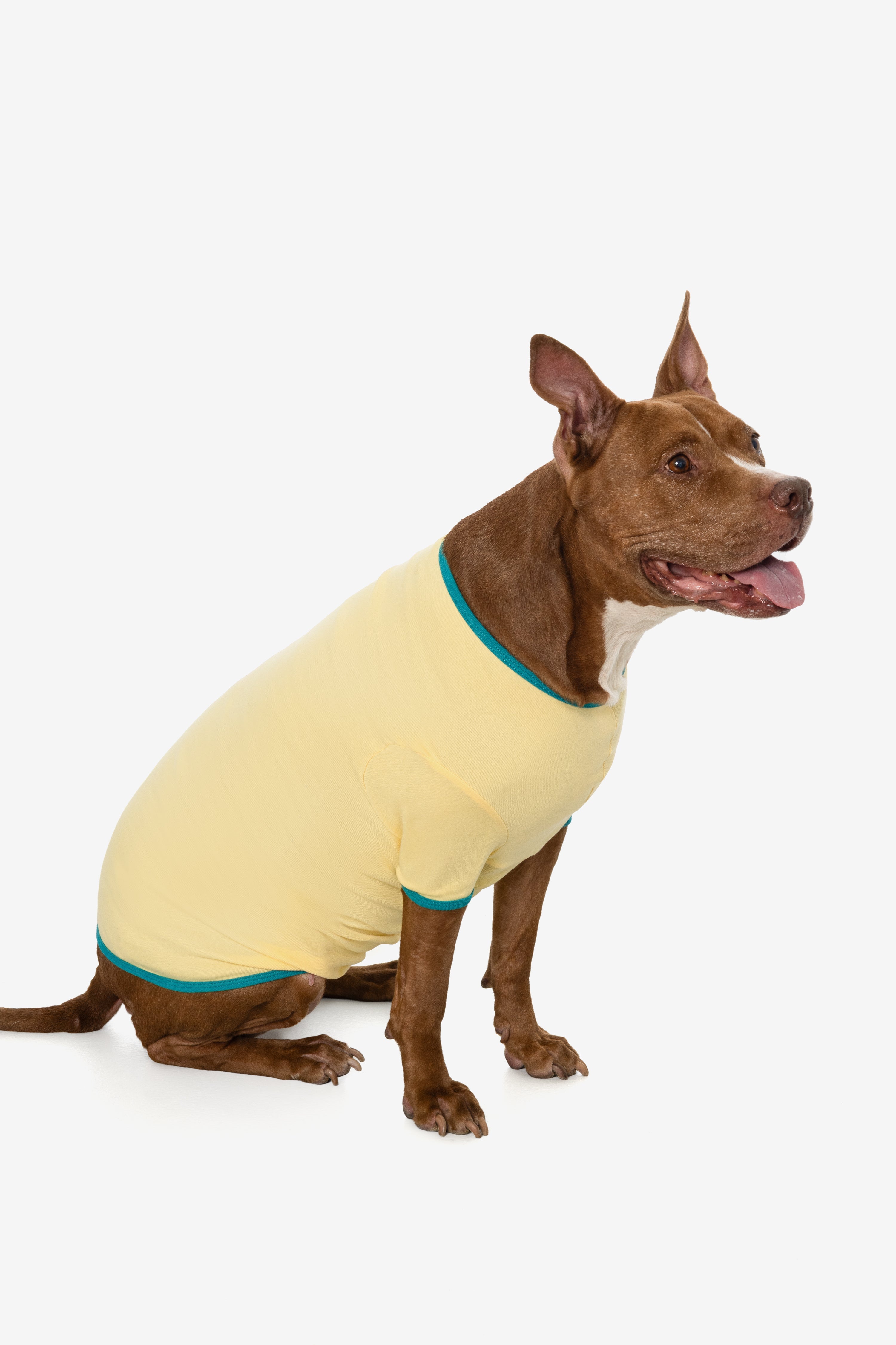 49005 - Baby Rib Dog T-Shirt