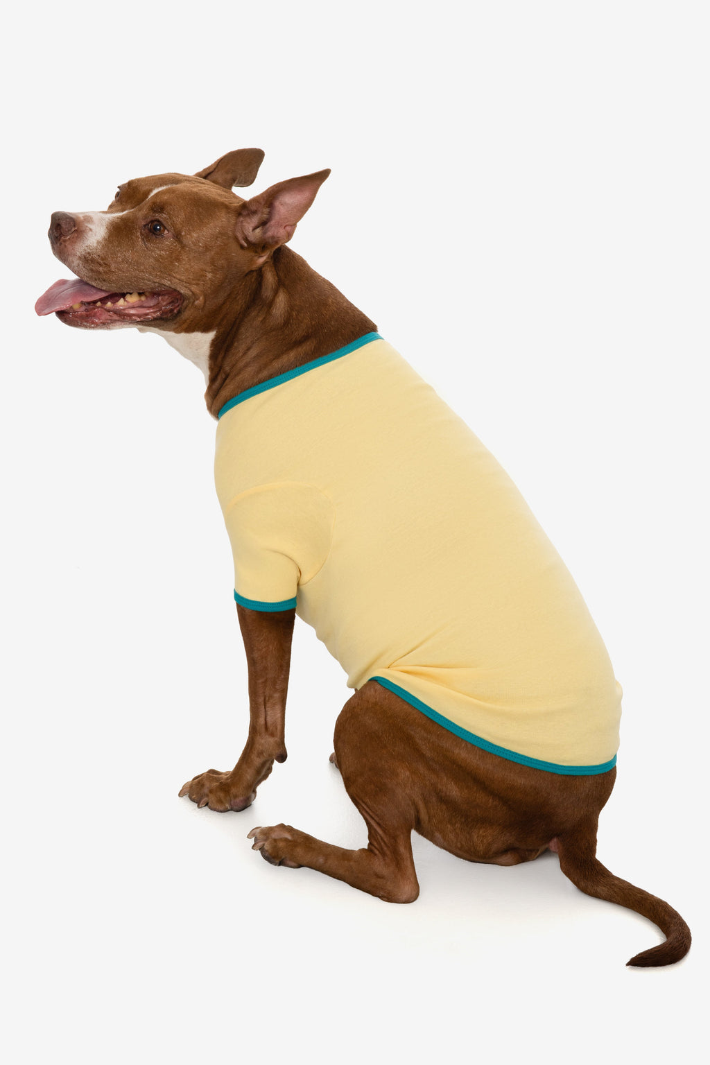 49005 - Baby Rib Dog T-Shirt