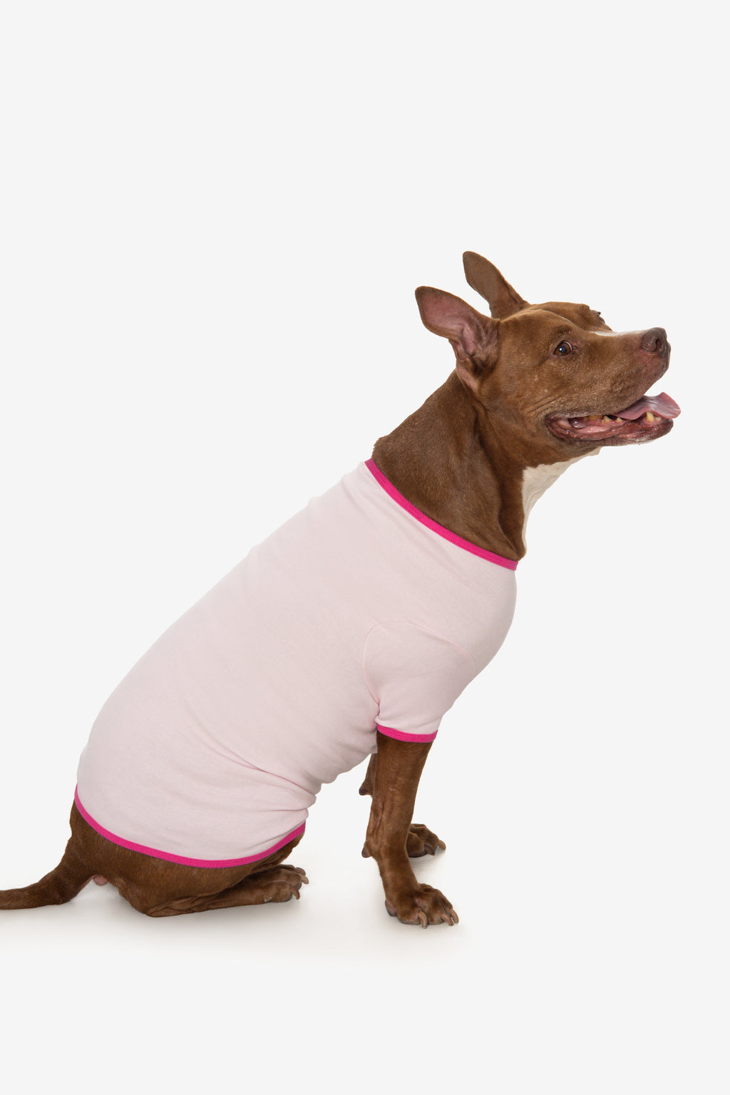 49005 - Baby Rib Dog T-Shirt