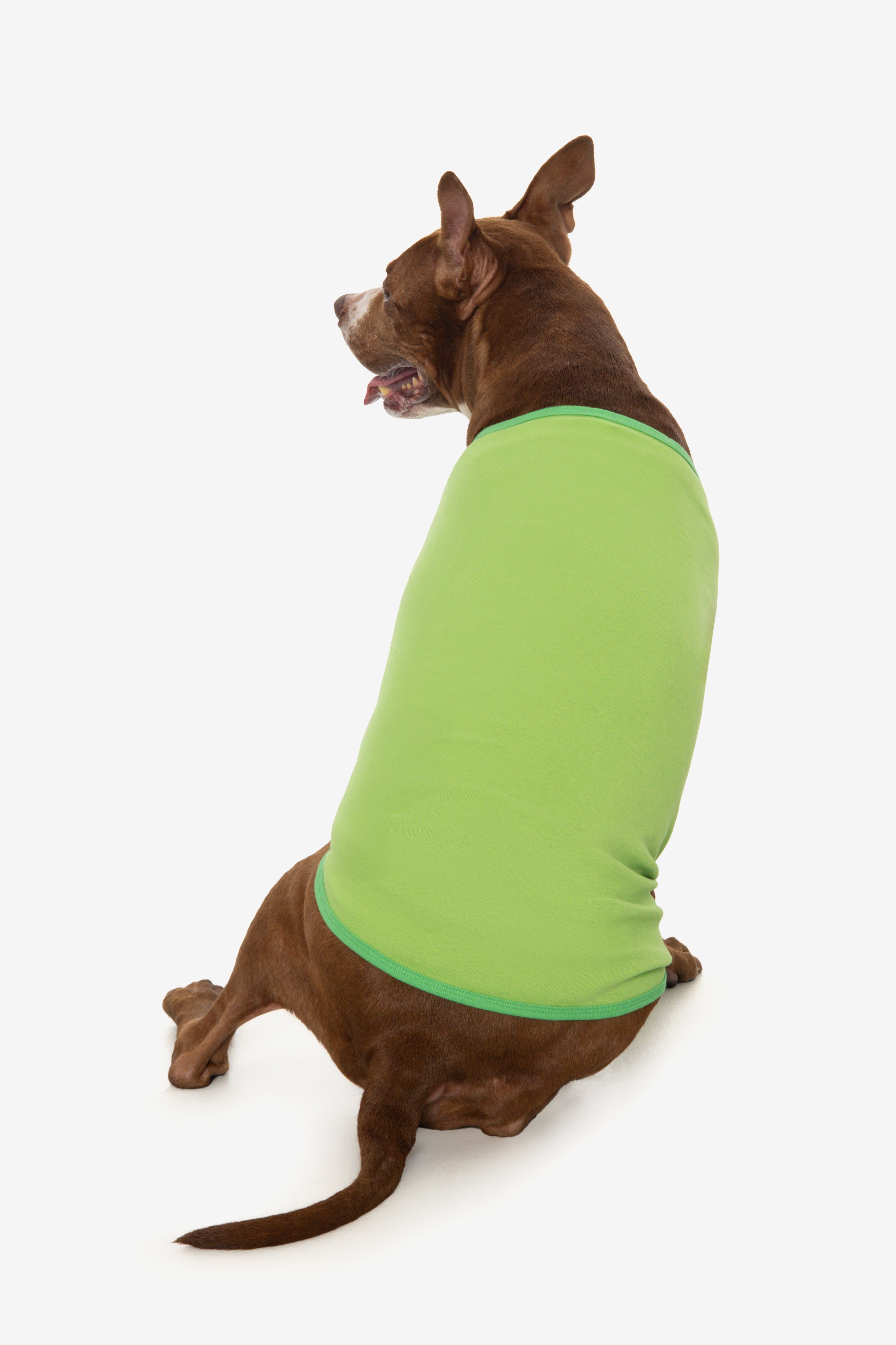 49005 - Baby Rib Dog T-Shirt