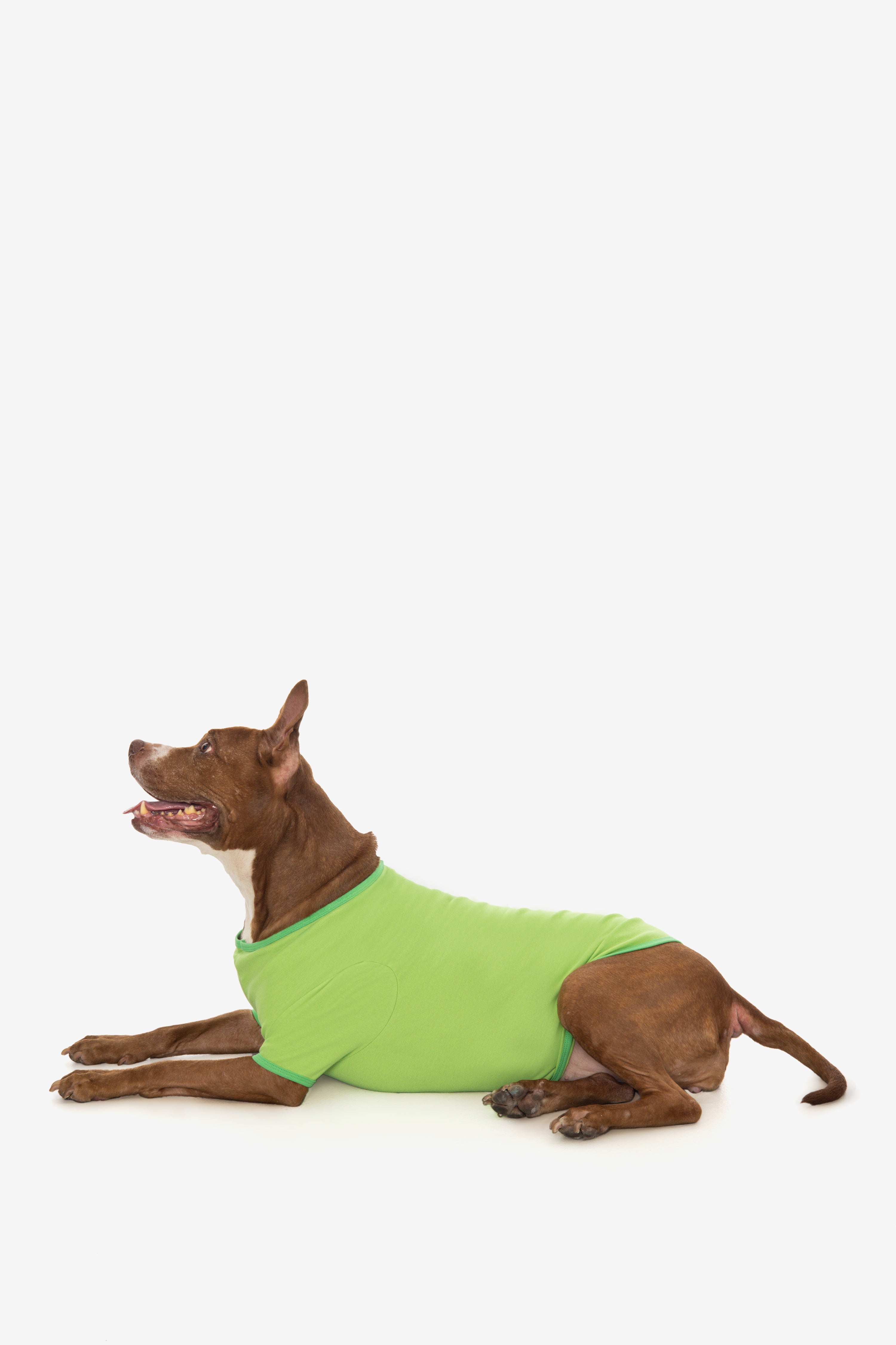 49005 - Baby Rib Dog T-Shirt