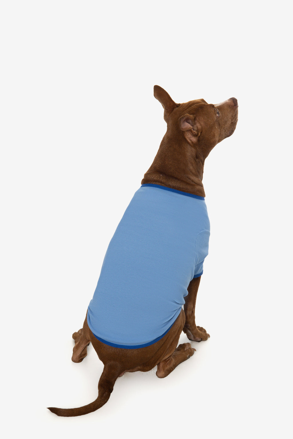 49005 - Baby Rib Dog T-Shirt