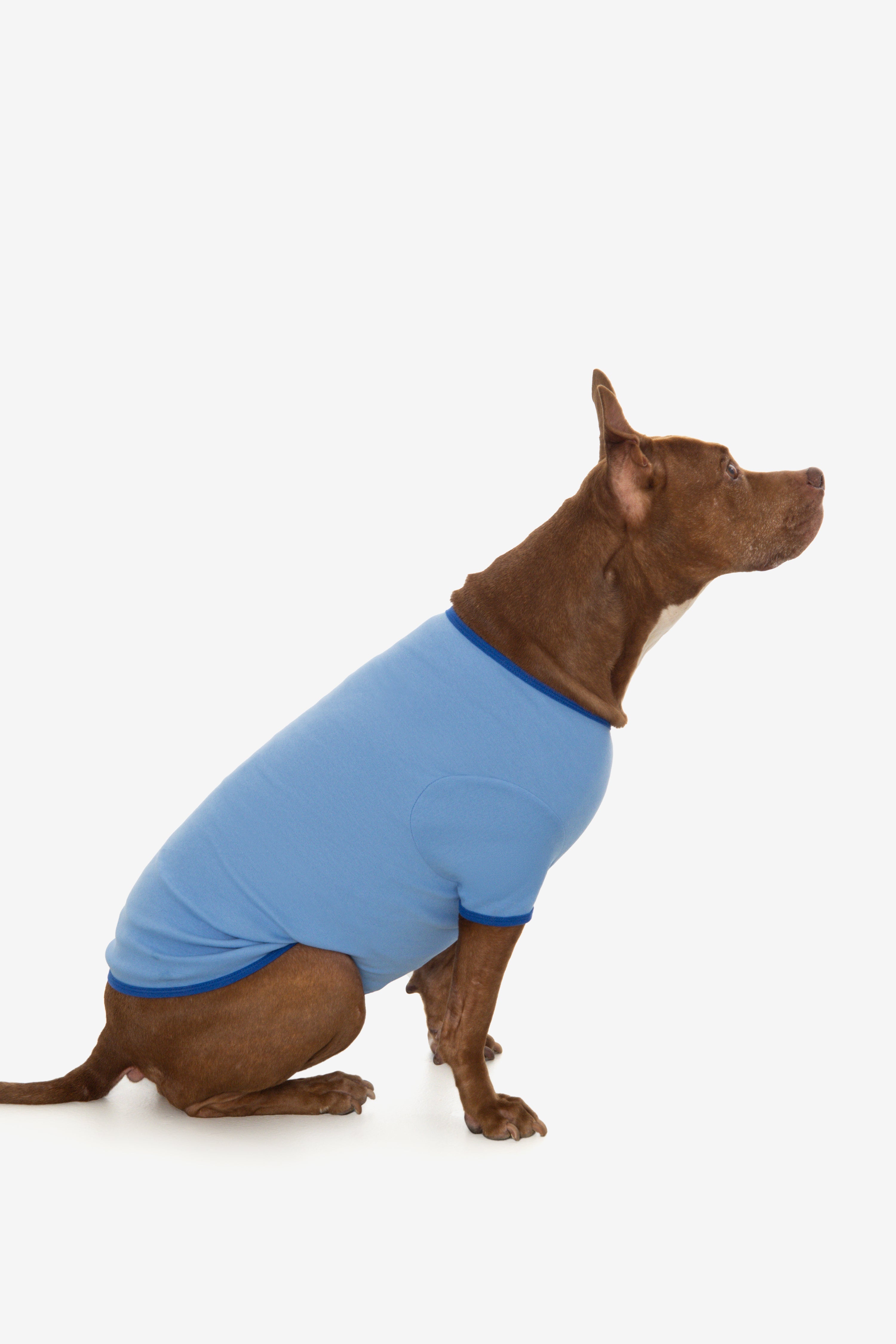 49005 - Baby Rib Dog T-Shirt