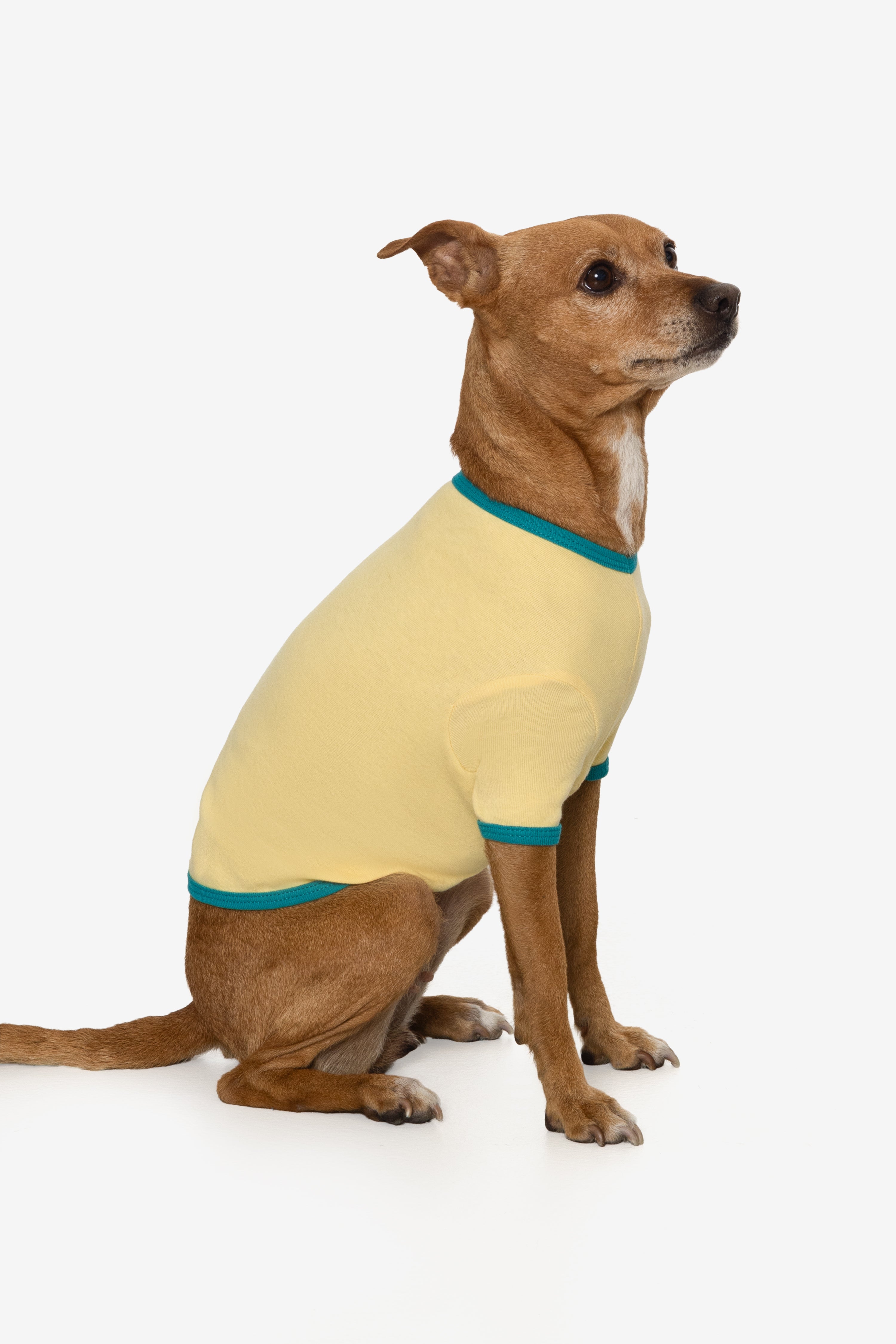 49005 - Baby Rib Dog T-Shirt