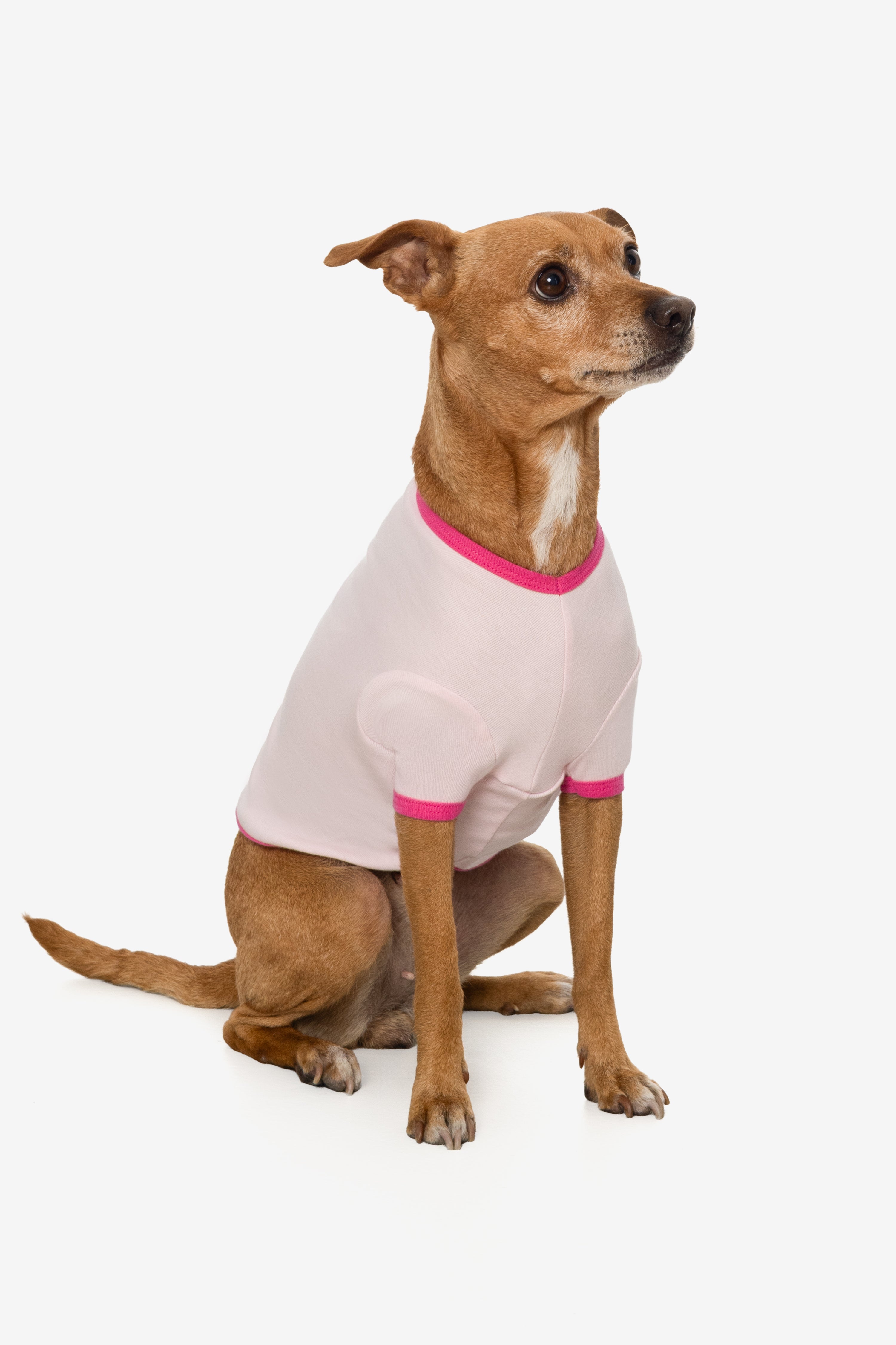 49005 - Baby Rib Dog T-Shirt