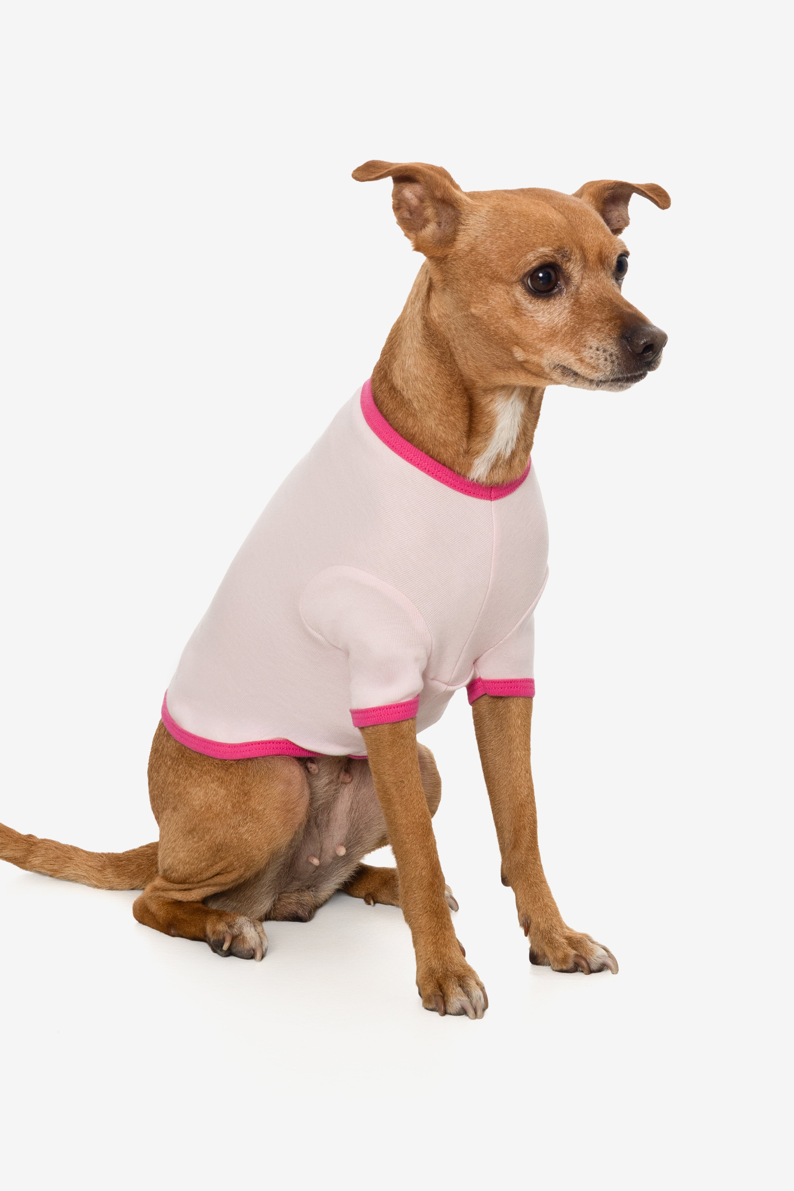 49005 - Baby Rib Dog T-Shirt