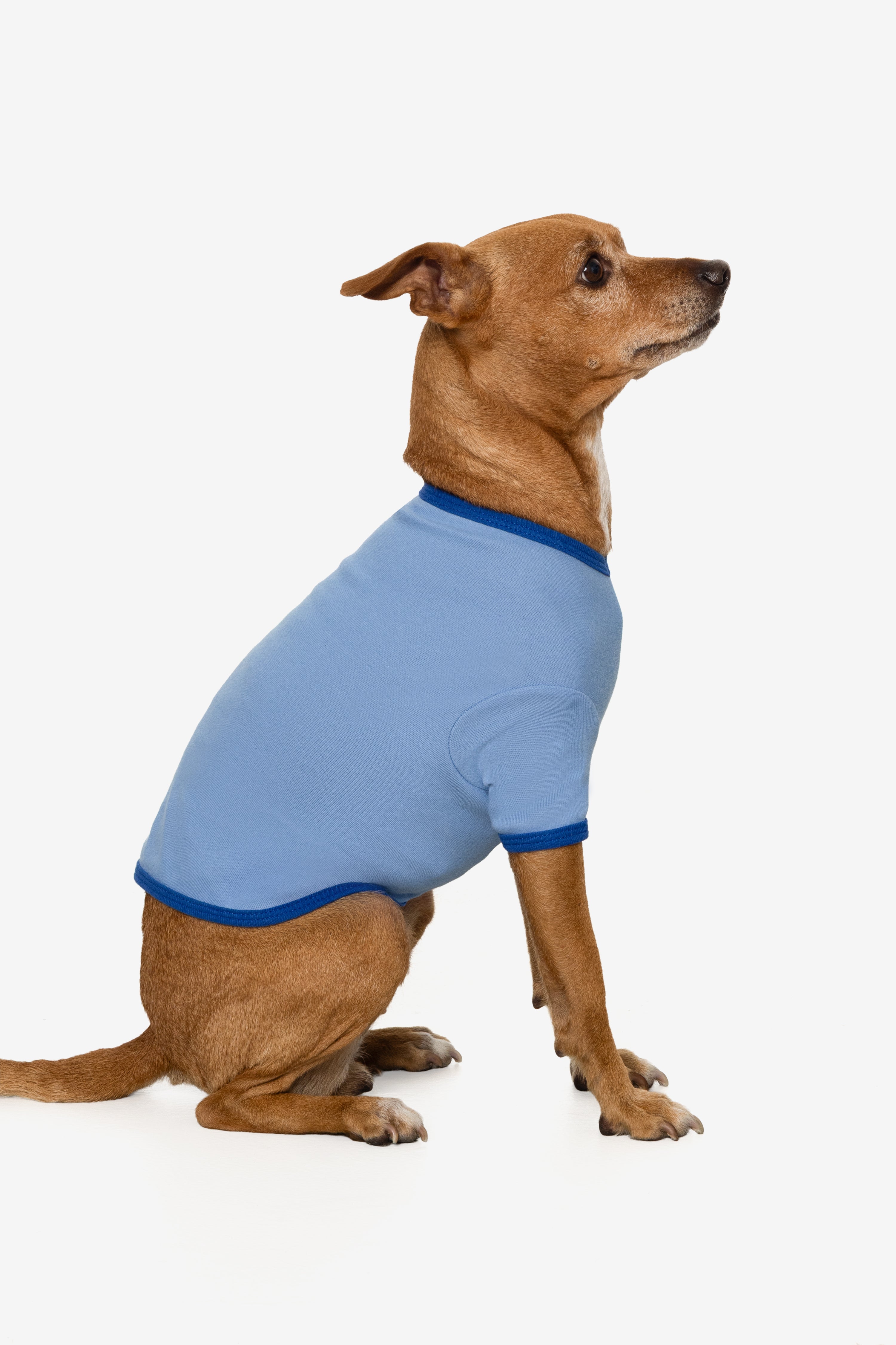 49005 - Baby Rib Dog T-Shirt