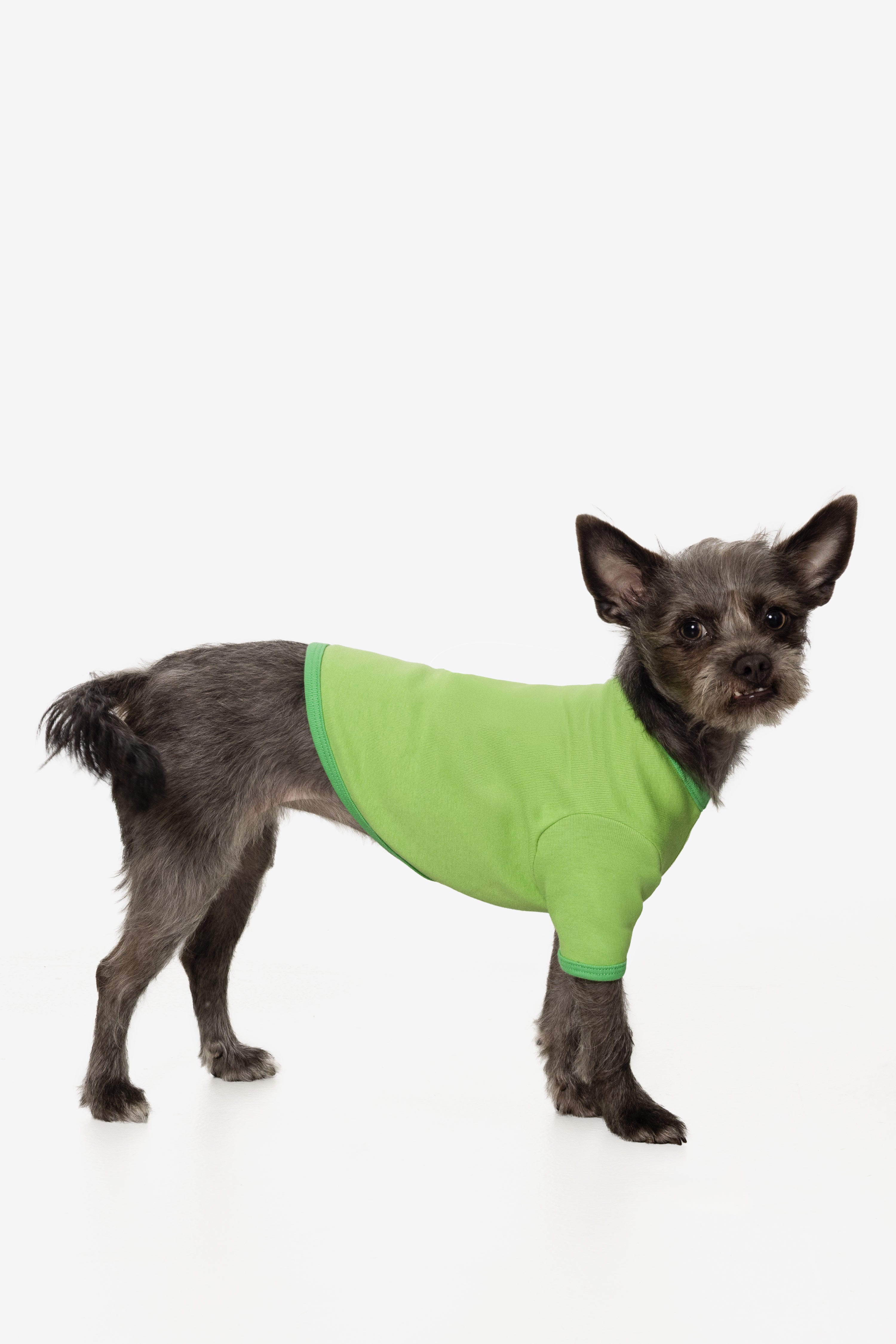 49005 - Baby Rib Dog T-Shirt