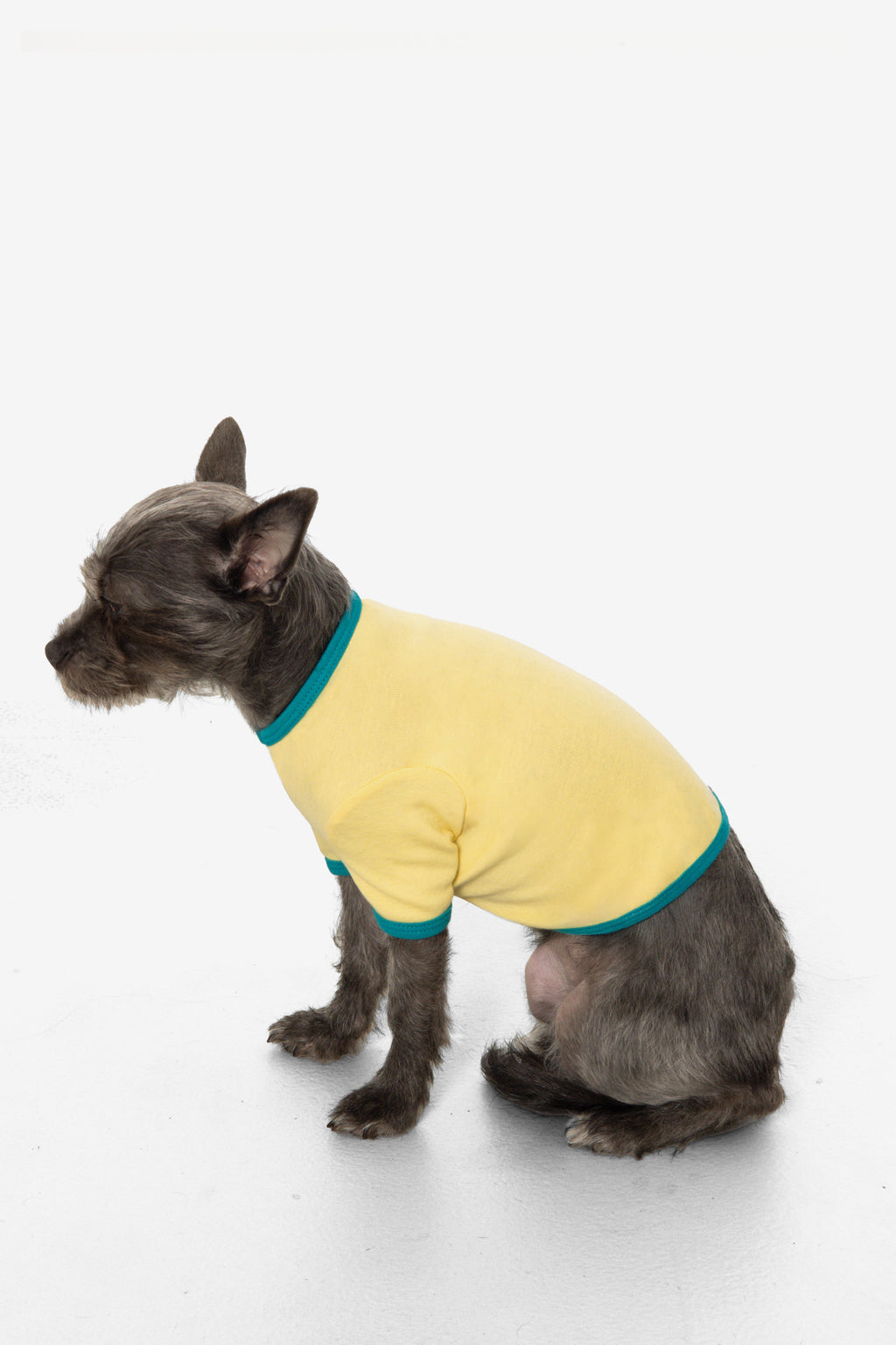 49005 - Baby Rib Dog T-Shirt